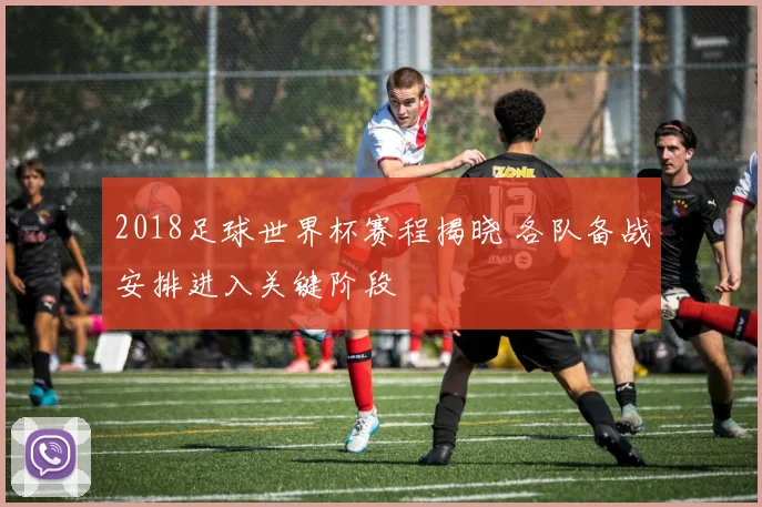 2018足球世界杯赛程揭晓 各队备战安排进入关键阶段