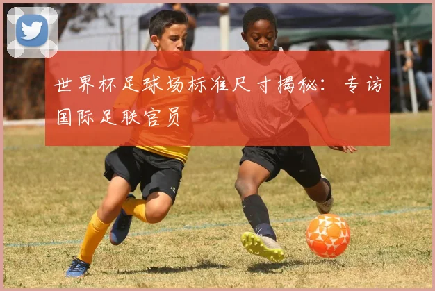 世界杯足球场标准尺寸揭秘:专访国际足联官员