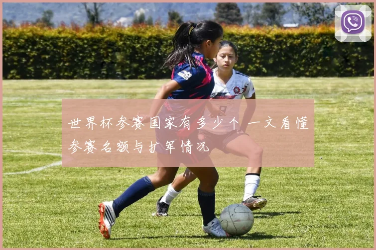 世界杯参赛国家有多少个 一文看懂参赛名额与扩军情况
