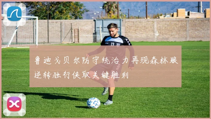 鲁迪戈贝尔防守统治力再现森林狼逆转独行侠取关键胜利