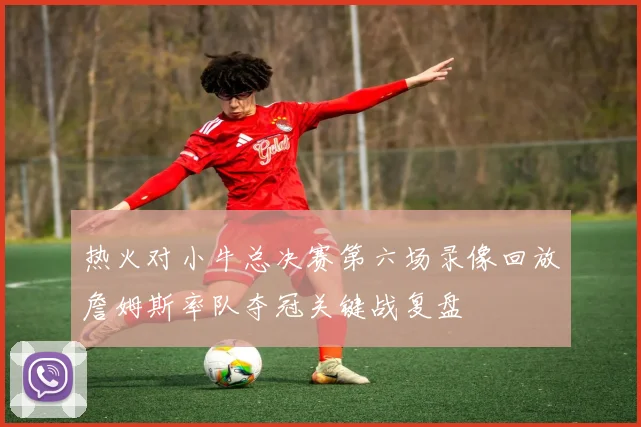 热火对小牛总决赛第六场录像回放詹姆斯率队夺冠关键战复盘